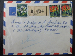 LETTRE  RECOMMANDE DE ALEG MAURITANNIE 1960  => FRANCE      COVER   FLEURS - Lettres & Documents
