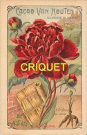 Grande Chromo Van Houten, Pivoine,  Scan Recto Verso, Pas Très Courante - Van Houten