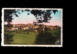 81 PUYLAURENS Vue Générale, Colorisée, Ed APA 1, 194? - Puylaurens