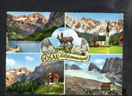 F1702 Gosau Salzkammergut - Gosausee Mit Dachstein, Ort Gosau Mit Gosaukamm - Gablonzer Hutte - Adamekhutte - Gmunden