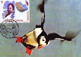 Polar Fauna Maxicard.  Cluj 1990. - Faune Antarctique