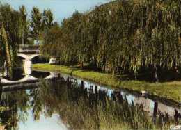 86 LENCLOITRE Les Bords De L'Envigne - Lencloitre