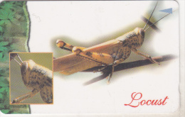 Singapore Old Used Phonecard - Locust - Autres & Non Classés