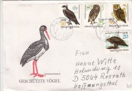 BIRDS, BLACK STORK, EAGLE, OWL, EMBOISED SPECIAL COVER, 1982, GERMANY - Cigognes & échassiers