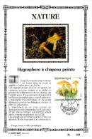 17,541 Bel Sonstamp Sony Stamps PTT Soie 541 544 2421    Nature Flore Champignon CS - Carte Souvenir FDC 1991-9-14 Padde - Cartoline Commemorative - Emissioni Congiunte [HK]