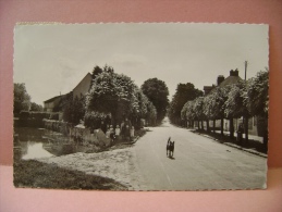 CPSM NEAUPHTE LE CHATEAU  AVENUE DE  LA REPUBLIQUE - ECRITE EN 1954 - Neauphle Le Chateau