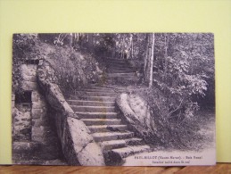 FAYL-BILLOT (HAUTE MARNE) BOIS BANAL. ESCALIER TAILLE DANS LE ROC. - Fayl-Billot