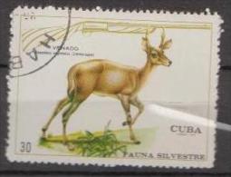 Caribbean Island 1970 -  Deer - Mi.1635 - Used Gestempelt - Oblitérés