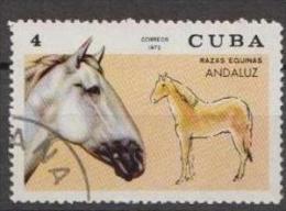 Caribbean Island1972  Horses - Mi.1785 - Used Gestempelt - Used Stamps