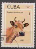 Caribbean Island Cuba 1973 Animals - Mi.1879 - Used Gestempelt - Usados