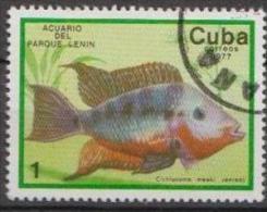 Caribbean Island 1977 - Fish  - Mi.2202 - 1v - Used Gestempelt - Usados