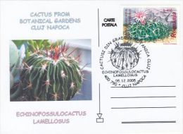 CACTUSS, CM, MAXICARD, CARTES MAXIMUM, 2005, ROMANIA - Cactusses