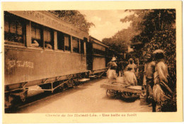 Chemin De Fer Matadi-Léo - Une Halte En Forêt - & Train - Altri & Non Classificati