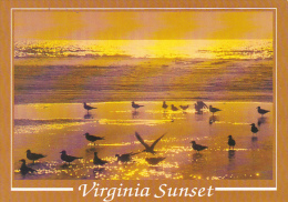 Sunset Greetings From Virginia's Eastern Shore - Chesapeake