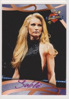 WWE 2004 Fleer Card SABLE Love Wrestling Divas - Trading Cards