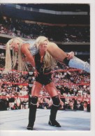 WWE 1998 Titan Cards Wrestling Diva SABLE Superstars Duocards - Trading Cards