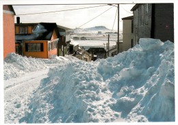 Saint Pierre Et Miquelon - Saint Pierre - La Rue De L'Espérance En Hiver - Editeur: Briand N°13.83 149.71 - Saint Pierre And Miquelon