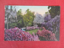 South Carolina > Charleston Hand Colored Magnolia Gardens  1931 Cancel      Ref 1286 - Charleston