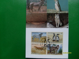 1993 Gefafhrdete Arten  MAXIMUM Card  Animali  Uccelli 4 Valori Se Tenant - Covers & Documents