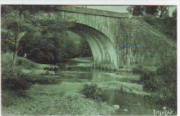 85. CHANTONNAY . PONT CHARRON. ANIMATION. Editions BERGEVIN . RAMUNTCHO . 9804 - Chantonnay