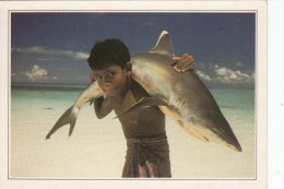 MALDIVES - Jeune Garçon Et Un Requin - Maldives