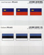 2x3 In Farbe Flaggen-Sticker Litauen+Polen 7€ Kennzeichnung Alben Karten Sammlung LINDNER 659+673 Flags LITHUANIA Polska - Cartes De Classement
