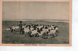SOMALIA ,   Pastorizia - Somalie