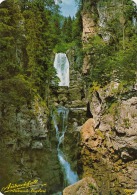 ABTENAU-VOGLAU Aubachfall Eine Unvergessliche Schöne Wanderung, Sonderstempel Lammeröfen Scheffau Am Tennengebirge - Abtenau