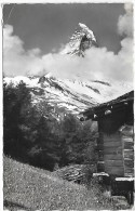 SUISSE - ZERMATT Und Matterhorn - Matt