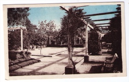 CPSM Orléansville (Chief, Algérie), Jardins, Combier, Mâcon, Années 1940 - Chlef (Orléansville)