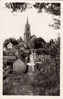 77 - LORREZ-le-BOCAGE - Les Anciens Fossés - Vue Générale - 1958 - Lorrez Le Bocage Preaux