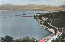 BOUGIE  VUE GENERALE .LE PORT ET LA BAIE DE SIDI-YAHIA - Bejaia (Bougie)