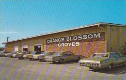 Florida Largo Orange Blossom Groves Citrus Store - Tampa