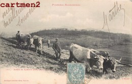 SCENE DE LABOUR DANS LE SAINT-GIRONNAIS PYRENEES ARIEGEOIGES SAINT-GIRONS AGRICULTURE LABOURAGE METIER 1900 - Saint Girons