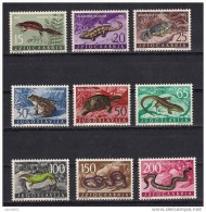 Yugoslavia 1962. FAUNA Reptiles MNH Set - Ungebraucht