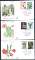 Monaco Flora Cactusses1974 3X Fdc: 2x Matucana, Haageocereus, Echinocereus, Mediolobivia, Rarodia - Cactusses