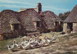 Cp , RÉGIONS , AQUITAINE , Au Coeur Du Perigord Noir , Les Bories , Cabanes De Pierres Sèches , Oies - Aquitaine