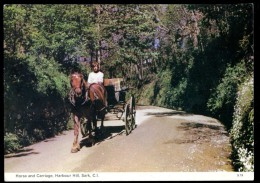 Cpsm Royaume Uni Sark Sercq Horse And Carriage , Harbour Hill ..  Guernsey    AVR17 - Sark