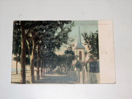 Carte Postale Ancienne : SUEZ : Avenue Du Terre Plein - Suez