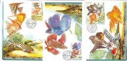 Czech Republic 2003 - Fishes, Set Of 4 Cartes Maximum - Sonstige & Ohne Zuordnung