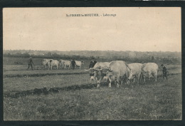 SAINT PIERRE LE MOUTIER - Labourage - Saint Pierre Le Moutier