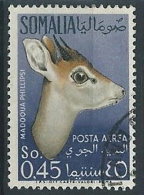 1955 SOMALIA AFIS USATO POSTA AEREA ANIMALI 45 CENT - ED236 - Somalie (AFIS)