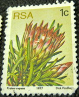 South Africa 1977 Succulents Protea Repens 1c - Used - Gebruikt