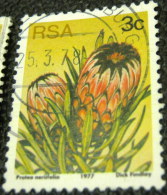 South Africa 1977 Succulents Protea Neriifolia 3c - Used - Gebruikt