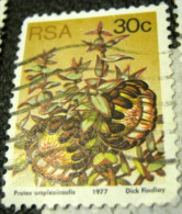 South Africa 1977 Succulents Protea Amplexicaulis 30c - Used - Gebruikt