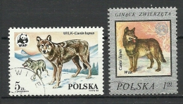 POLEN Poland Polska Der Wolf Wulf One Stamp Is WWF 1985 O - Gebraucht