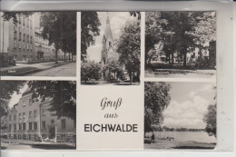 0-1603 EICHWALDE, Mehrbildkarte, 1959 - Eichwalde
