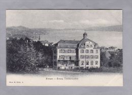 ZH  HORGEN 1903.VII.7 Horgen  U Die AU  Foto Wehrli - Horgen