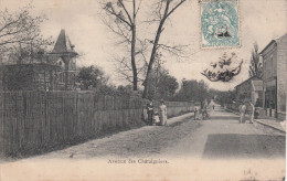 95 - BEAUCHAMPS / AVENUE DES CHATAIGNIERS - Beauchamp