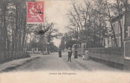 95 - BEAUCHAMPS / AVENUE DES CHATAIGNIERS - Beauchamp